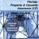 14 hr Property and Casualty Insurance Continuing Education (INSCE026FL14)