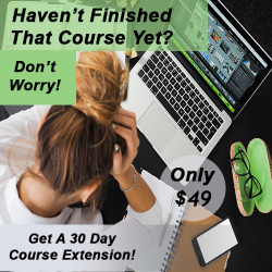Course Extension (30 day) Course Extension (30 day)