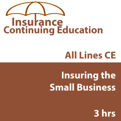 3 hr CE Insuring the Small Business 3 hr CE Insuring the Small Business
